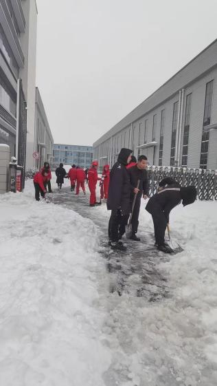 图片10.png 图片10.png